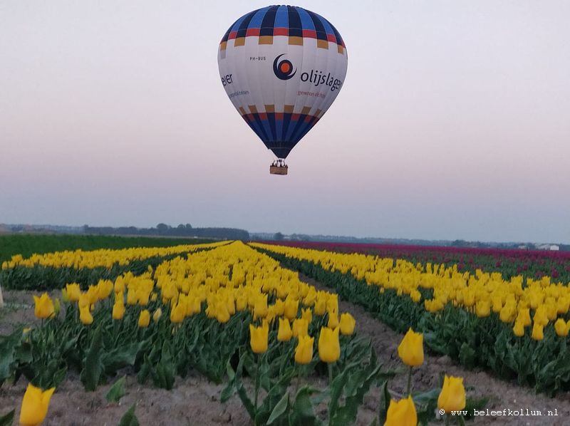 Drakenboot Luchtballonfestival